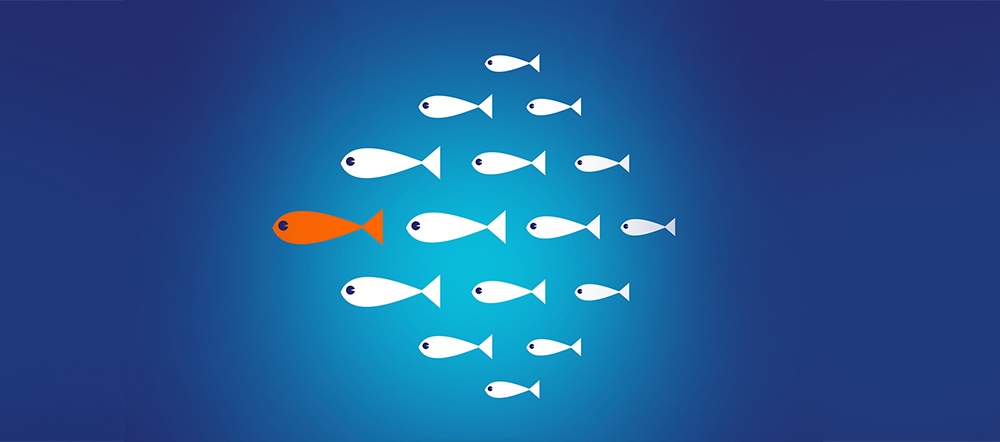 an illustration of white fish swimming in a pool with one gold fish as the leader representing an eCommerce niche market